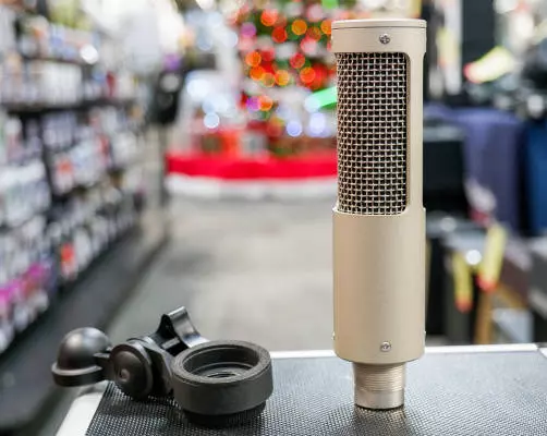 Royer - R-10 Studio/Live Ribbon Microphone 2